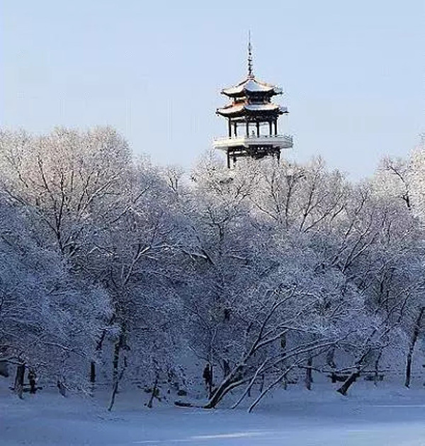冰雪- 齐齐哈尔新闻网