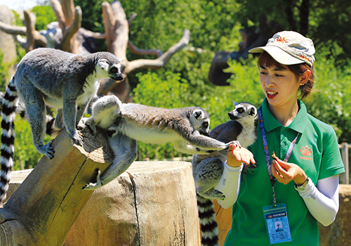 龙沙动植物园饲养员辛未的工作日